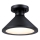 Westinghouse 61238 - Outdoor ceiling light WALTER 1xE27/60W/230V IP44