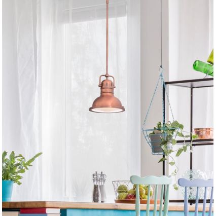 Westinghouse 6308440 - Rod-mounted pendant light BOSWELL 1xE27/60W/230V Ø 22 cm
