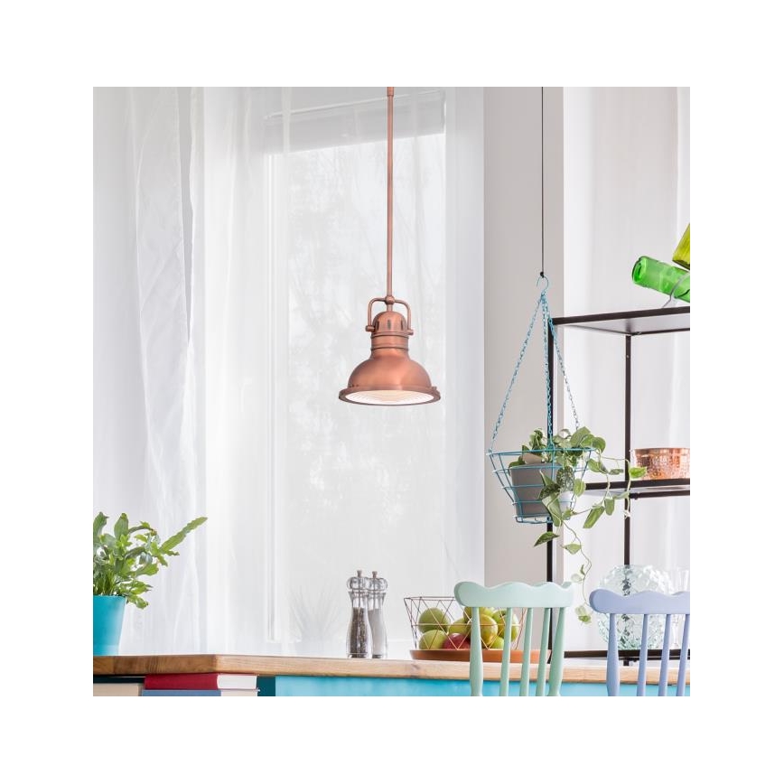 Westinghouse 6308440 - Rod-mounted pendant light BOSWELL 1xE27/60W/230V Ø 22 cm