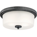 Westinghouse 6325140 - Ceiling light CEDRIC 2xE27/40W/230V Ø 33 cm