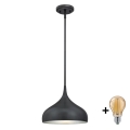 Westinghouse 6329440 - LED chandelier on rod RUDI 1xE27/60W/230V Ø 30 cm