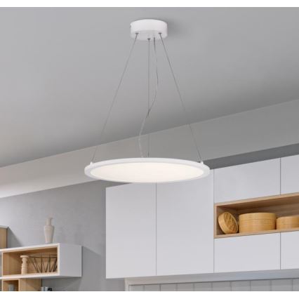 Westinghouse 65751 - LED Dimmable chandelier on a string ATLER LED/32W/230V 45 cm