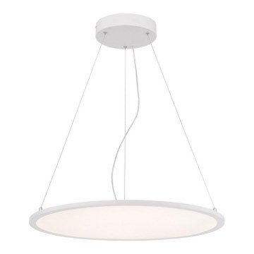 Westinghouse 65775 - LED Dimmable chandelier on a string ATLER LED/40W/230V 60 cm
