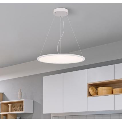 Westinghouse 65775 - LED Dimmable chandelier on a string ATLER LED/40W/230V 60 cm