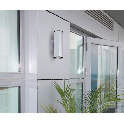 Westinghouse 65793 - LED Dimmable outdoor light MARIUS 2xLED/8W/230V IP44