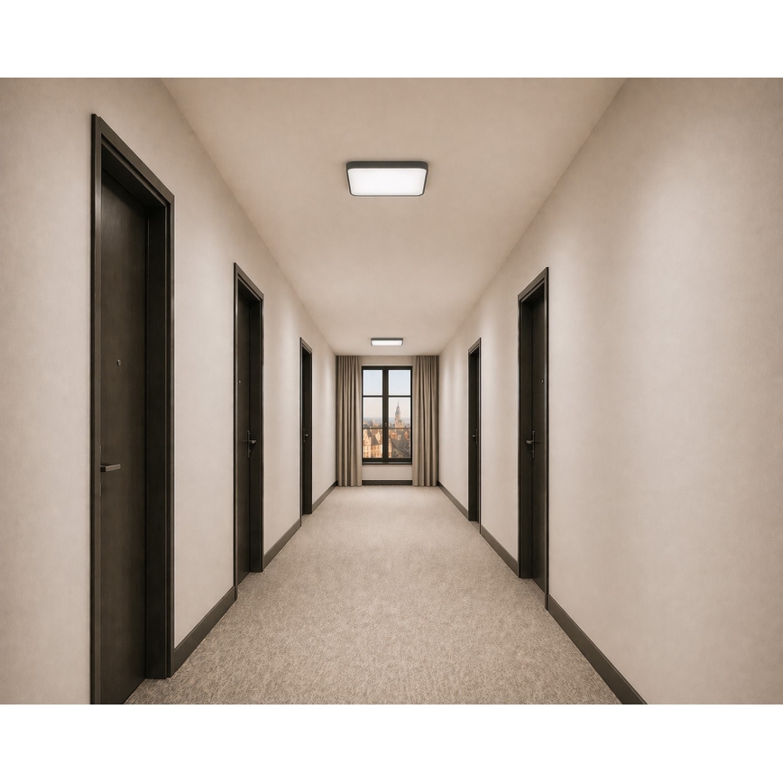 WILTON LED Ceiling Light with Motion and Dusk Sensor, 24W/230V, 4000K, 33x33 cm, Anthracite