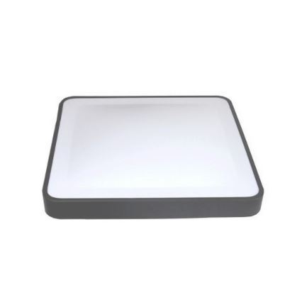 WILTON LED Ceiling Light with Motion and Dusk Sensor, 24W/230V, 4000K, 33x33 cm, Anthracite