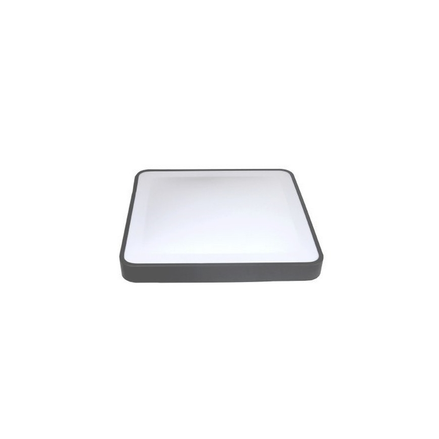WILTON LED Ceiling Light with Motion and Dusk Sensor, 24W/230V, 4000K, 33x33 cm, Anthracite