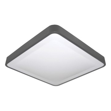 WILTON LED Ceiling Light with Motion and Dusk Sensor, 24W/230V, 4000K, 33x33 cm, Anthracite
