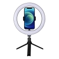 Winner Group - Dimmable LED Desk Lamp with Stand and Vlogging Holder LED/10W/5V