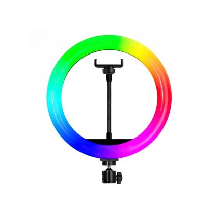 Winner Group - RGB LED Dimmable Floor Lamp with Stand and Vlog Mount LED/10W/5V