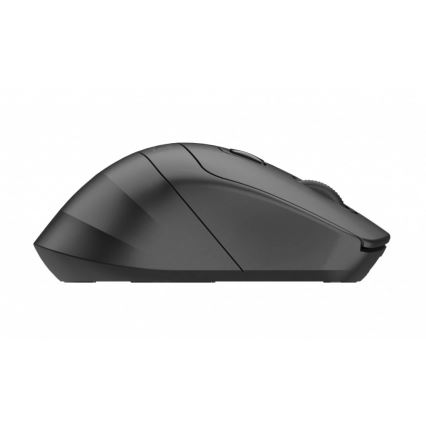 Winner Group - SEA MOUSE Wireless Mouse, 500 mAh, Black
