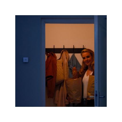 WiZ - Motion sensor 1xLR6 Wi-Fi