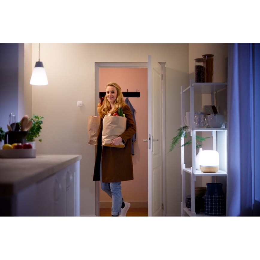 WiZ - Motion sensor 1xLR6 Wi-Fi