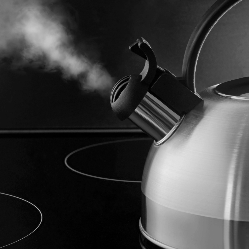WMF - ORBIT Whistling Kettle 1.5 L stainless steel