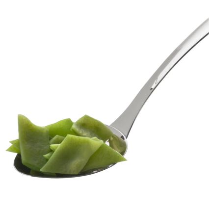 WMF - PROFI PLUS Stainless Steel Serving Spoon