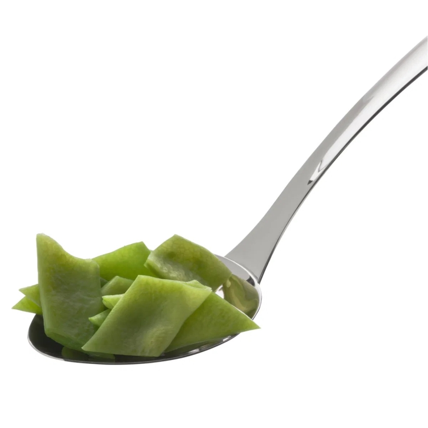 WMF - PROFI PLUS Stainless Steel Serving Spoon