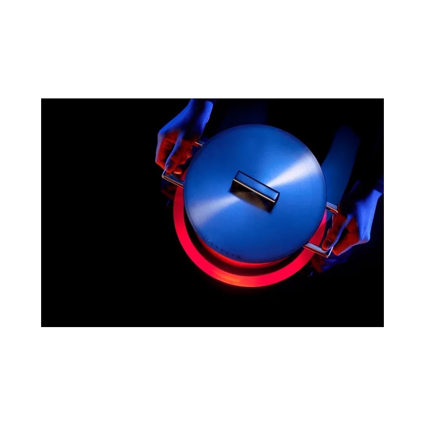 WMF - ULTIMATE COOL 20 cm Pot