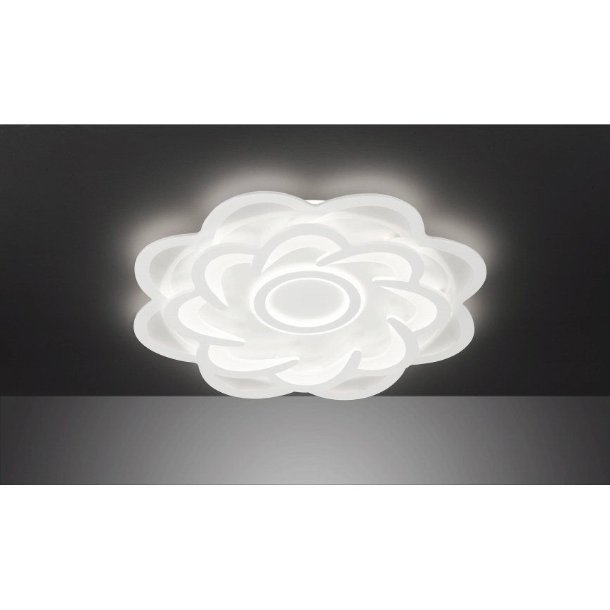Wofi 11213 - LED Dimmable ceiling light ICA LED/52W/230V 2700-5500K + remote control