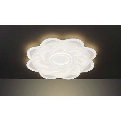 Wofi 11213 - LED Dimmable ceiling light ICA LED/52W/230V 2700-5500K + remote control