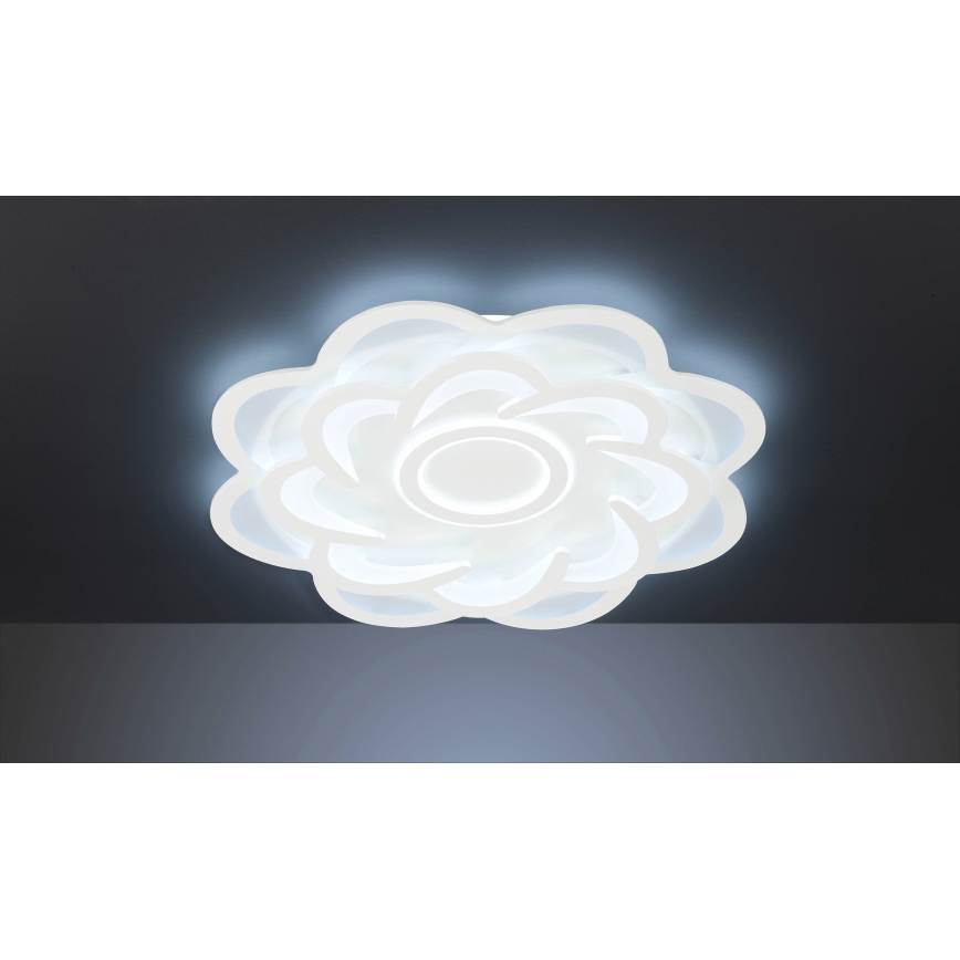 Wofi 11213 - LED Dimmable ceiling light ICA LED/52W/230V 2700-5500K + remote control