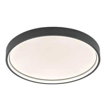 Wofi 12056 - LED Dimmable ceiling light DUBAI LED/27,5W/230V anthracite