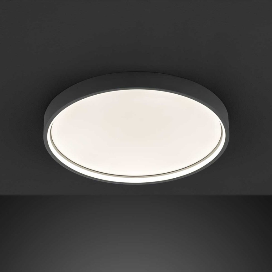 Wofi 12056 - LED Dimmable ceiling light DUBAI LED/27,5W/230V anthracite