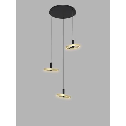 Wofi 5016-304 - LED Dimmable chandelier on a string BREST LED/26W/230V black/gold