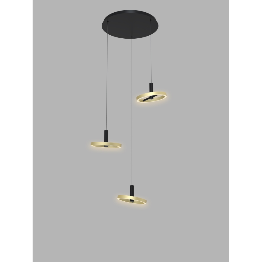 Wofi 5016-304 - LED Dimmable chandelier on a string BREST LED/26W/230V black/gold