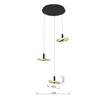 Wofi 5016-304 - LED Dimmable chandelier on a string BREST LED/26W/230V black/gold