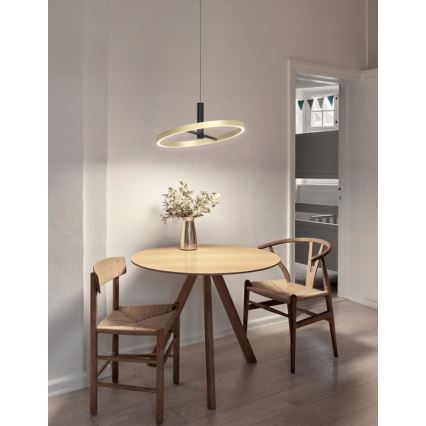 Wofi 6016-104L - BREST Dimmable LED cable-hung pendant light LED/19W/230V Ø 42 cm Black/Gold