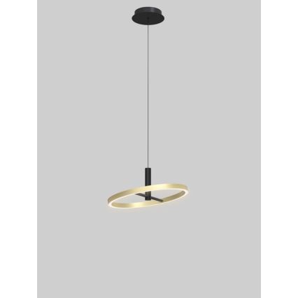 Wofi 6016-104L - BREST Dimmable LED cable-hung pendant light LED/19W/230V Ø 42 cm Black/Gold