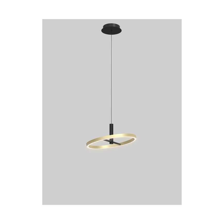 Wofi 6016-104L - BREST Dimmable LED cable-hung pendant light LED/19W/230V Ø 42 cm Black/Gold