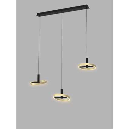 Wofi 7016-304 - LED Dimmable chandelier on a string BREST LED/26W/230V black/gold