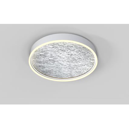 Wofi 9002-103L - LED Dimmable ceiling light BORDEAUX LED/60W/230V silver
