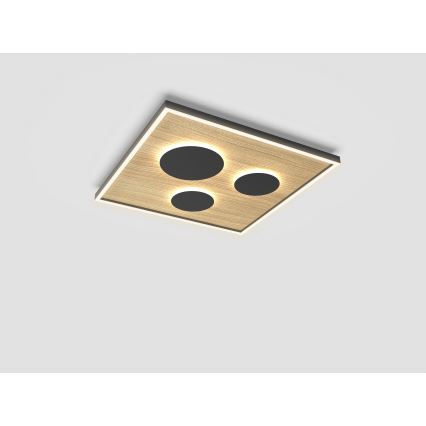 Wofi 9012-306L - LED Dimmable ceiling light DIJON LED/40W/230V