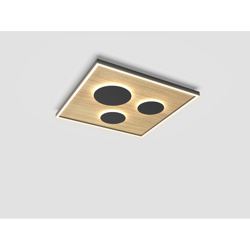 Wofi 9012-306L - LED Dimmable ceiling light DIJON LED/40W/230V
