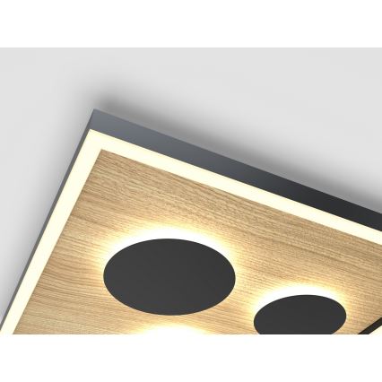 Wofi 9012-306L - LED Dimmable ceiling light DIJON LED/40W/230V