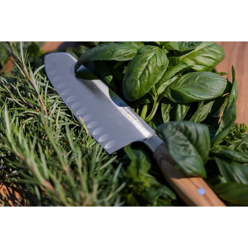 Wüsthof - Kitchen knife santoku AMICI 17 cm olive wood