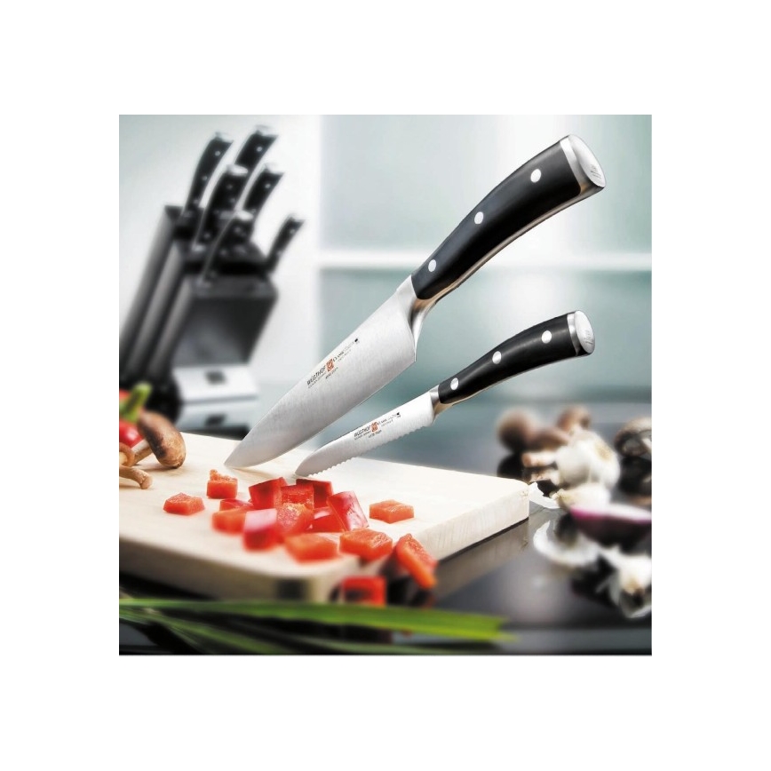 Wüsthof - Set of kitchen knives in a stand CLASSIC IKON 7 pcs ash/black