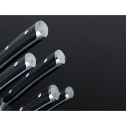 Wüsthof - Set of kitchen knives in a stand CLASSIC IKON 7 pcs ash/black