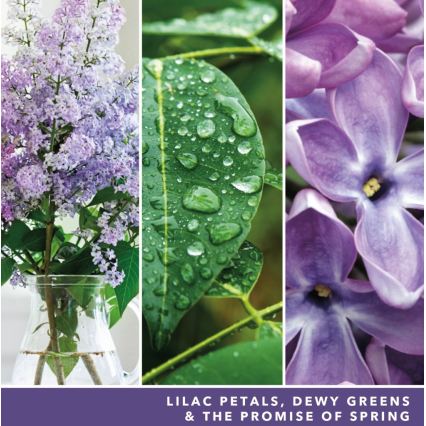 Yankee Candle - LILAC BLOSSOMS scented candle, large, 567g, 60-90 hours.