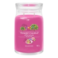 Yankee Candle - Scented Candle ART IN THE PARK Large 567g 60-90 hours.