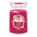Yankee Candle - Scented Candle SANTA ON SKIS large 567g 60-90 hours