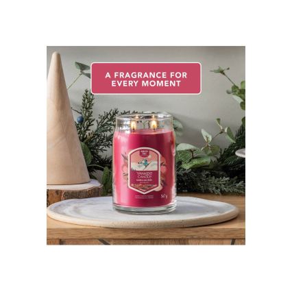 Yankee Candle - Scented Candle SANTA ON SKIS large 567g 60-90 hours