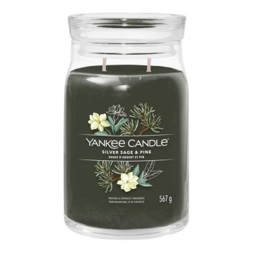 Yankee Candle - Scented Candle SILVER SAGE & PINE large 567g 60-90 hours