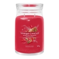 Yankee Candle - Scented Candle SPARKLING CINNAMON large 567g 60-90 hours