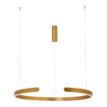 Zambelis 2012 - LED Dimmable chandelier on a string LED/40W/230V gold