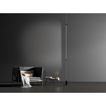 Zambelis 20184 - LED Floor lamp LED/22W/230V