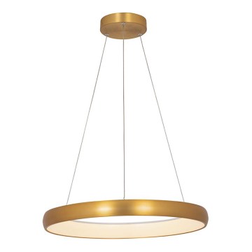 Zambelis 2054 - LED Dimmable chandelier on a string LED/50W/230V d. 60 cm gold